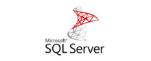 Microsoft Sql Server Recensioni